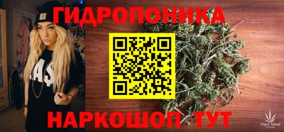 ПСИЛОЦИБИНОВЫЕ ГРИБЫ Балахна