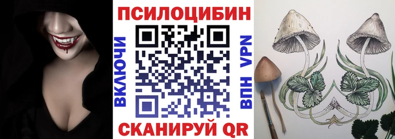 Псилоцибиновые грибы Psilocybine cubensis  продажа наркотиков  Богданович 