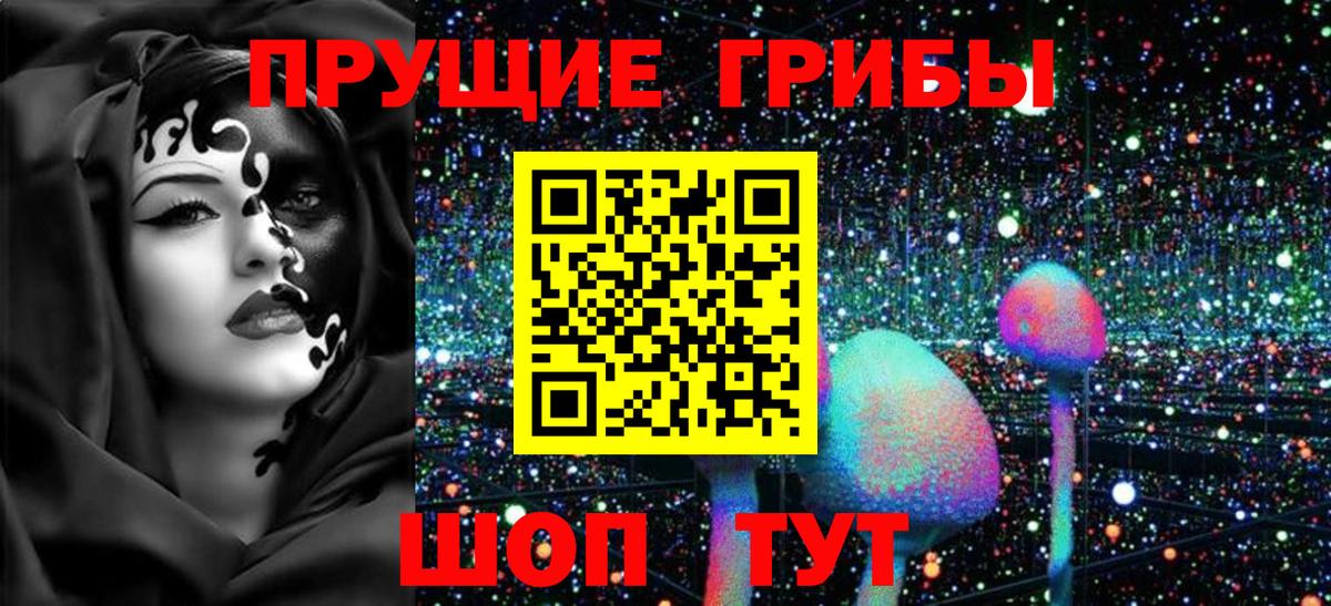Галлюциногенные грибы Psilocybe Богданович