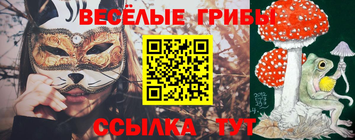 Псилоцибиновые грибы мухоморы  Вход с VPN  Богданович 